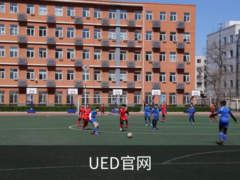 UED官网介绍